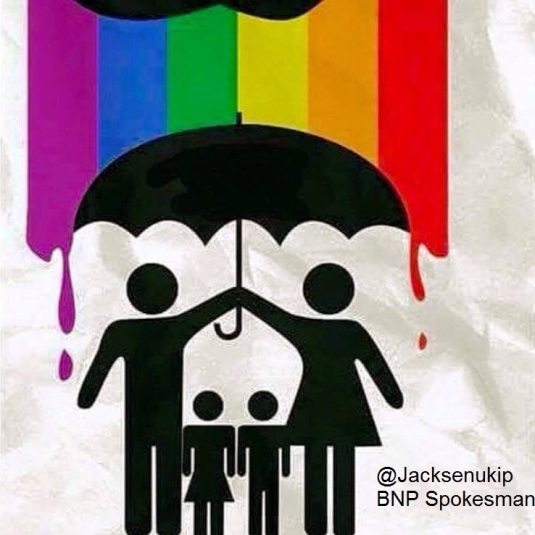 gay-flag-family