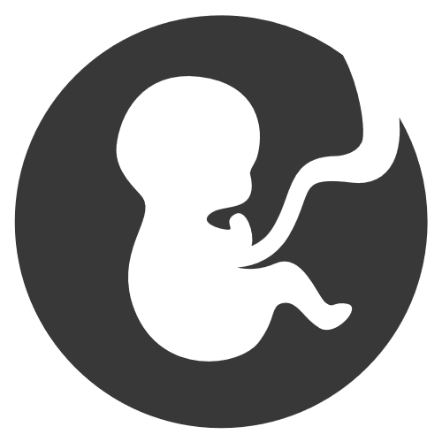 baby-in-uterus-foto-stiripentruviata-ro
